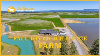 Fall River Wild Rice Farm | 451-Acre Waterfront Ranch in Fall River Mills, CA