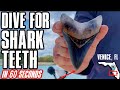 How To Shore Dive Find Shark Teeth In Venice FL 1 Minute Instructional Video For Scuba Divers