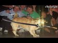 R Bossfight A NEW CHALLENGER APPROACHES