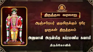 Temple video