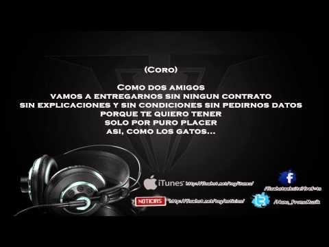Xitlali Sarmiento - Como los Gatos ft. La Trakalosa de Monterrey (Con Letra) Noviembre 2O14 HD