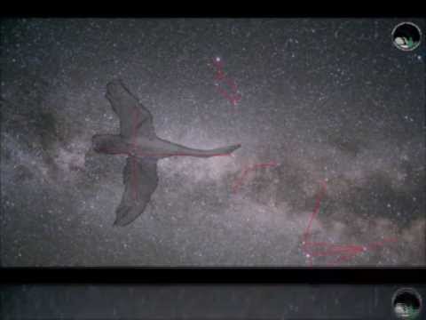 download lagu mp3 mp4 El Verano De Triangulo, download mp3 El Verano De Triangulo free download mp3, download mp3 El Verano De Triangulo