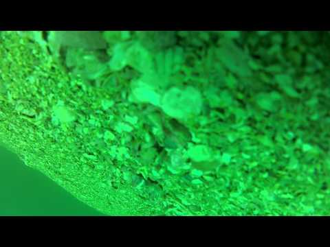 The Adventures Of A Lost Go Pro