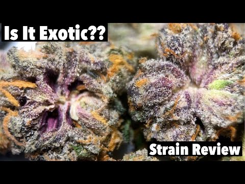 Smoking Dosido! (Strain review)