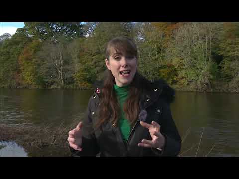 The Great Borders River Clean 2021 - Alex Iszatt reports