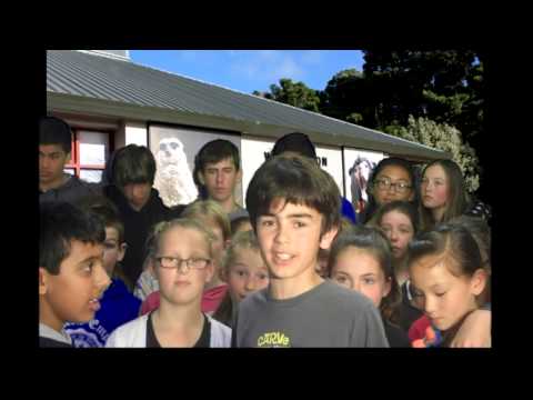 Brooklyn school Rm 9 movie for WHAT NOW!!!