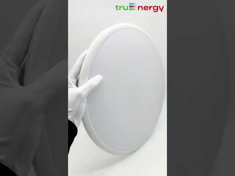 Миниатюра изображения товара Потолочный светильник Truenergy 11600