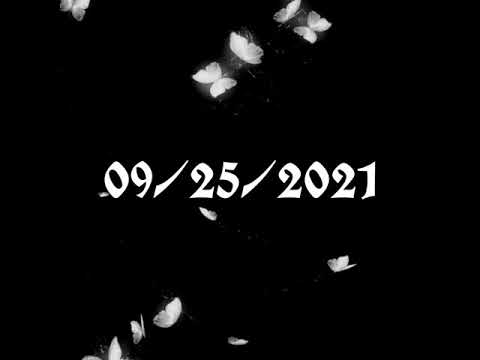 Vakant World II Release Date!