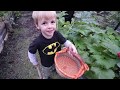 Grow Baby Grow VLOG Roots And Refuge Farm