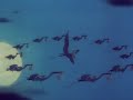 Dumbo Der Fliegende Elefant Trailer