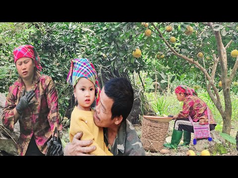 Phuc Ha’s Frequent Nausea: Is It a Stomach Problem or a Sign of Pregnancy?