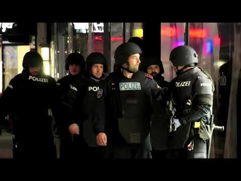 部長說，維也納槍手是單獨行動的 (Vienna gunman acted alone, says minister)