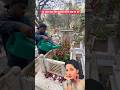 Bollywood Legendary Actress Meena Kumari Kabar Mumbai Sorts Youtubeshorts Vikasdailyvlogs