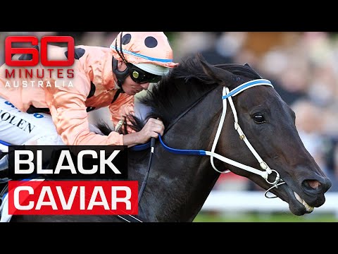 Remembering Black Caviar: The greatest racehorse ever? | 60 Minutes Australia