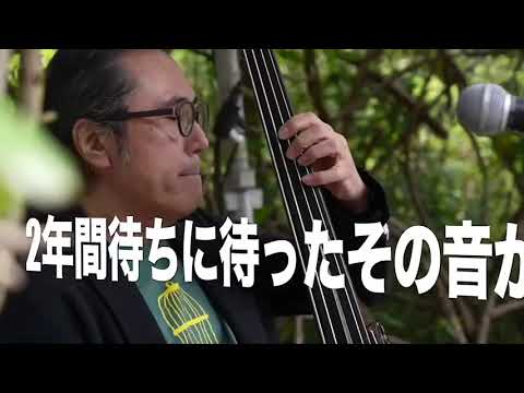 【teaser🎞】Delicious Vol.1 @ SYOKU-YABO農園：SALSA SWINGOZA & swingoza+