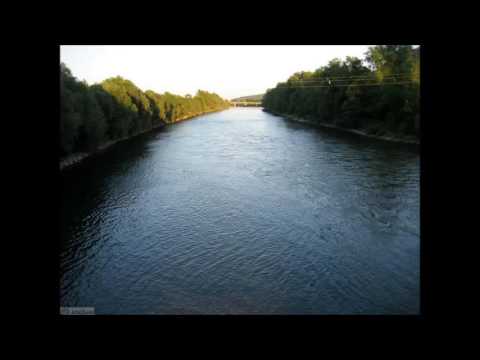 dejvid-u šapcu kraj save