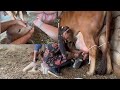 Baby Ko Dudh Pilana Bahot Difficult Job Hai Abb First Time Milking