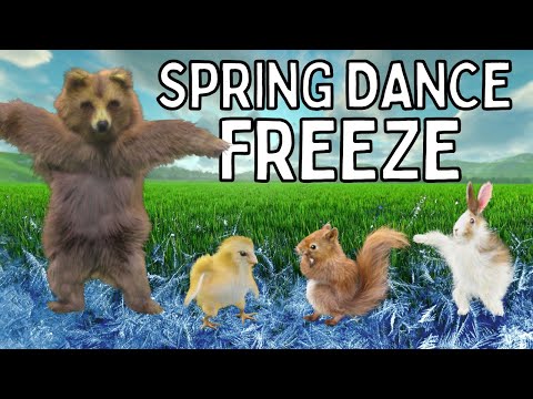 Spring Dance Freeze - Brain Break Movement Workout Game