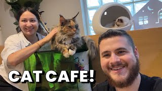 Visiting a Cat Cafe and Sidewalk Market in Thailand | S01 E137