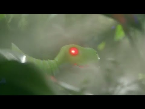 Hello!DINO 登場！