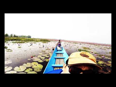 ทะเลบัวแดง