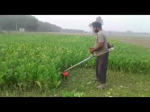 Petrol Brush Cutter