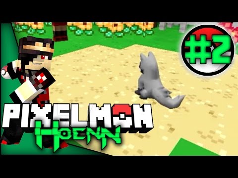 Pixelmon: Hoenn Episode 2 - THE MAN WITH BLUE STRIPES
