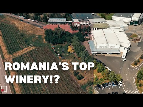 4K | Romania's Top Winery: Cramele Recaș | History & Award-Winning Wines