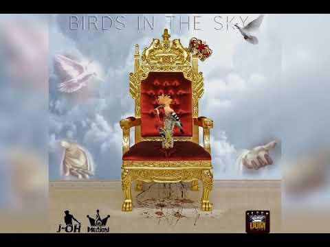 J-Oh Zw - Birds in the sky (Official Audio)