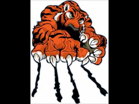 Pixel Fist - Tiger Claw (Original Mix)