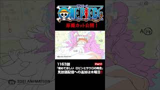 アニメ「#ONEPIECE」見放題配信への追加は木曜日‼️1163話‼️ #onepiece #原撮