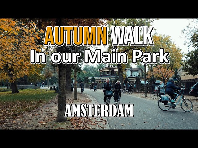 Video Pronunciation of Vondelpark in Dutch