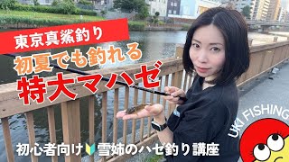 [東京]雪姉のマハゼ釣り！夏のレジャー家族で手軽に楽しめる美味しい魚を釣ろう🔰