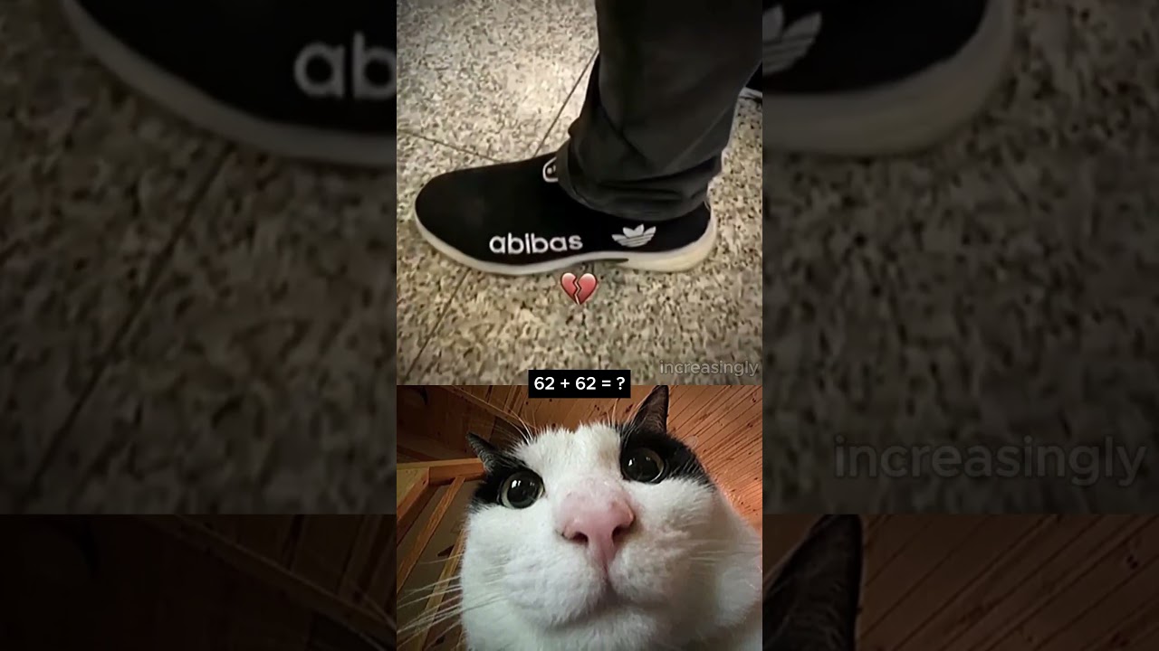 Put this in 0 25x 💀