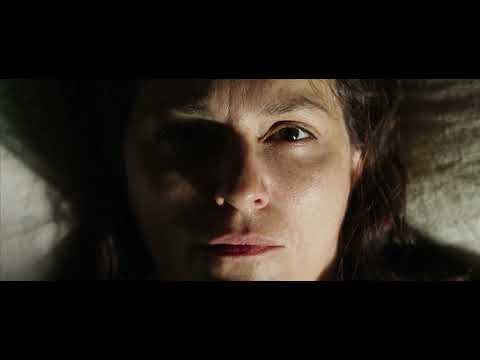 The Wall (Die Wand) (2012) Sub indo