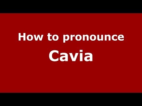How to pronounce Cavia (Spanish/Spain) - PronounceNames.com