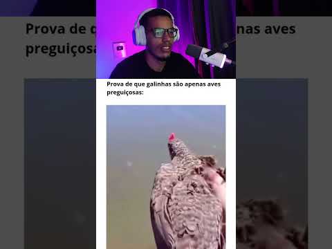 A galinha é uma ave preguiçosa #shorts