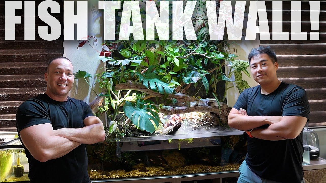 HOW TO build the ultimate paludarium  - A Vivarium WITH  FISH TANK aquarium!!