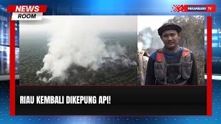 Hotspot Karhutla Melonjak, Lahan Gambut Pelalawan Terbakar