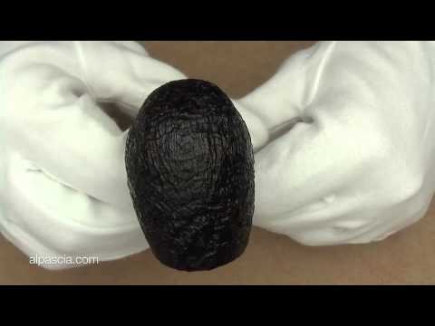 pipa Dunhill Shell Briar 4102 - pipe 888