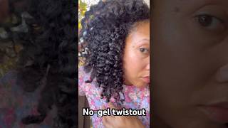 1 of my best twistouts✨#twistout #curlyhair #protectivestyles #naturalhair #curls