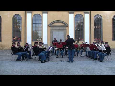 8. Regiments Musikkorps - Wiener Bürger Waltzer (Ziehrer)