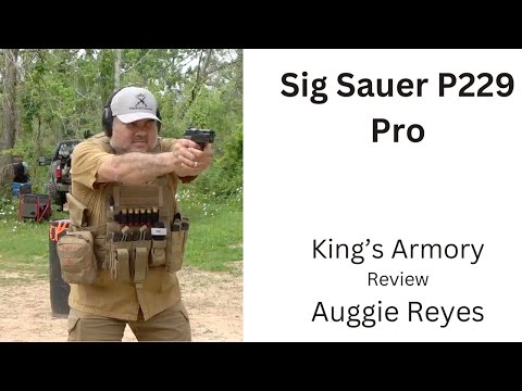 Sig P229 Review