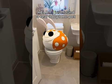 Adopt Me Pets In REAL LIFE! HopBop #roblox #adoptme #shorts