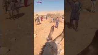 בפעם הבאה שאתם שומעים על "אלימות מתנחלים" תזכרו בסרטון הזה (חדשות הקול היהודי) - התמונה מוצגת ישירות מתוך אתר האינטרנט יוטיוב. זכויות היוצרים בתמונה שייכות ליוצרה. קישור קרדיט למקור התוכן נמצא בתוך דף הסרטון בפעם הבאה שאתם שומעים על "אלימות מתנחלים" תזכרו בסרטון הזה (חדשות הקול היהודי) - התמונה מוצגת ישירות מתוך אתר האינטרנט יוטיוב. זכויות היוצרים בתמונה שייכות ליוצרה. קישור קרדיט למקור התוכן נמצא בתוך דף הסרטון