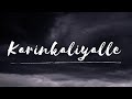 Karinkaliyalle Lyrical Aavesham VineeshKallettumkara Anoop Puthiyedath KannanMangalath ShaijuAvaran