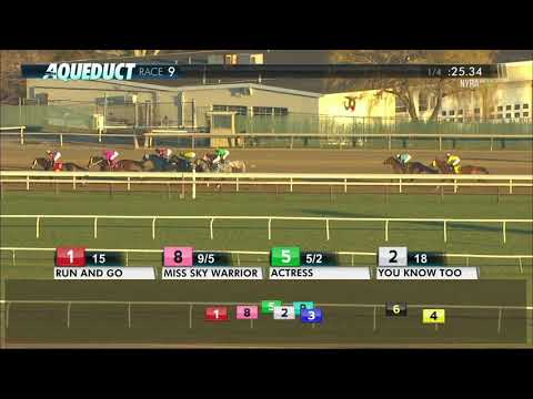 Actress - 2017 Comely Stakes