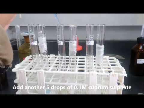ASSIGNMENT BCM202: TEST FOR PROTEINS