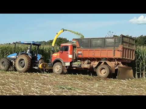 TL 85 e MF 4292 fazendo silagem de milho Agroceres 7098