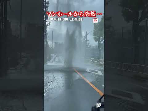  10月は庭で何をしましょうか？涼しい天候に備えるための必須の操作  庭園